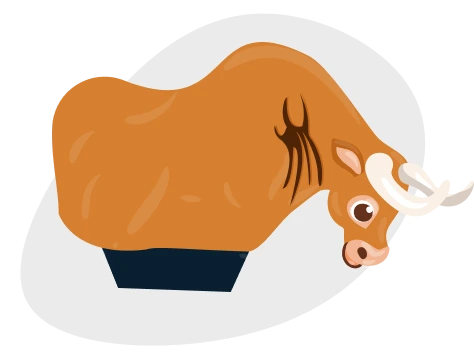 Icono